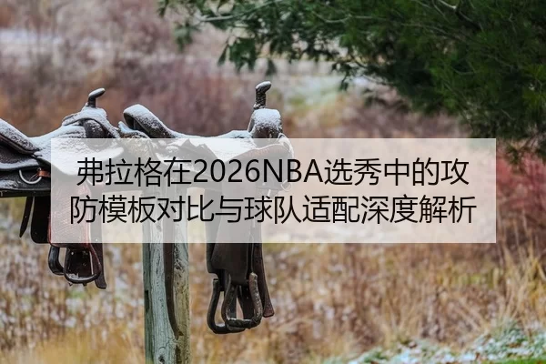 fu-la-ge-zai-xuan-xiu-zhong-de-gong-fang-mu-ban-dui-bi-yu-qiu-dui-shi-pei-shen-du-jie-xi-2-438.jpg