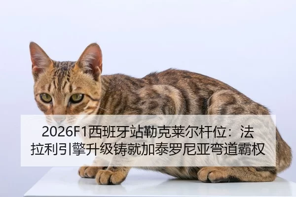 xi-ban-ya-zhan-lei-ke-lai-er-gan-wei-fa-la-li-yin-qing-sheng-ji-zhu-jiu-jia-tai-luo-ni-ya-wan-dao-ba-quan-2-632.jpg