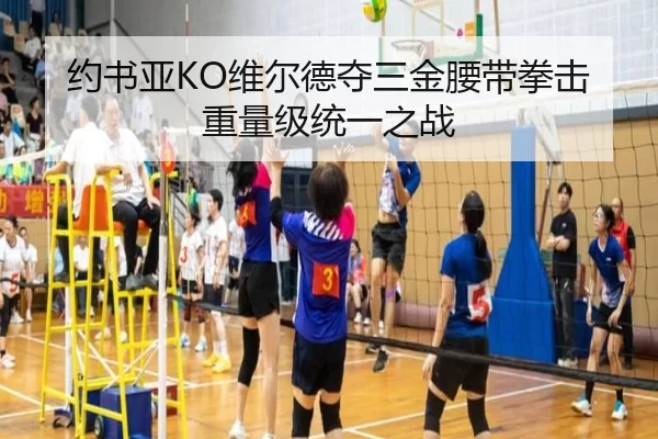 约书亚KO维尔德夺三金腰带拳击重量级统一之战