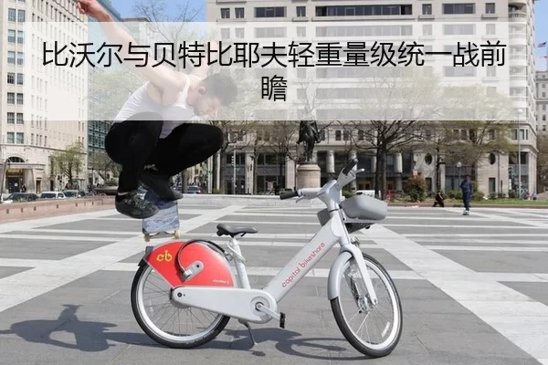 比沃尔与贝特比耶夫轻重量级统一战前瞻